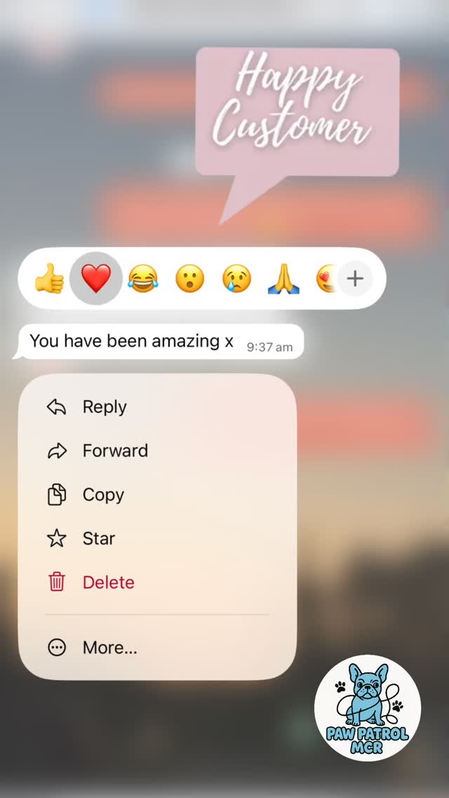 Customer testimonial