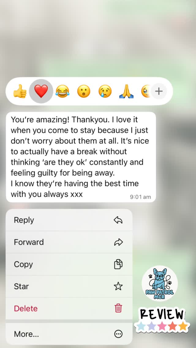 Customer testimonial
